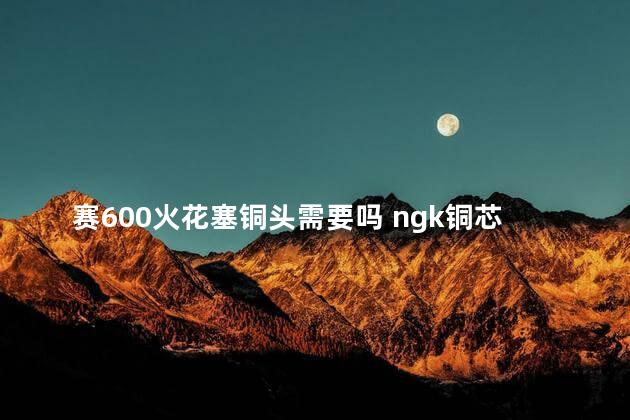 赛600火花塞铜头需要吗 ngk铜芯火花塞怎么样